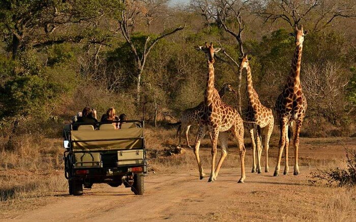 taking-up-jeep-safari